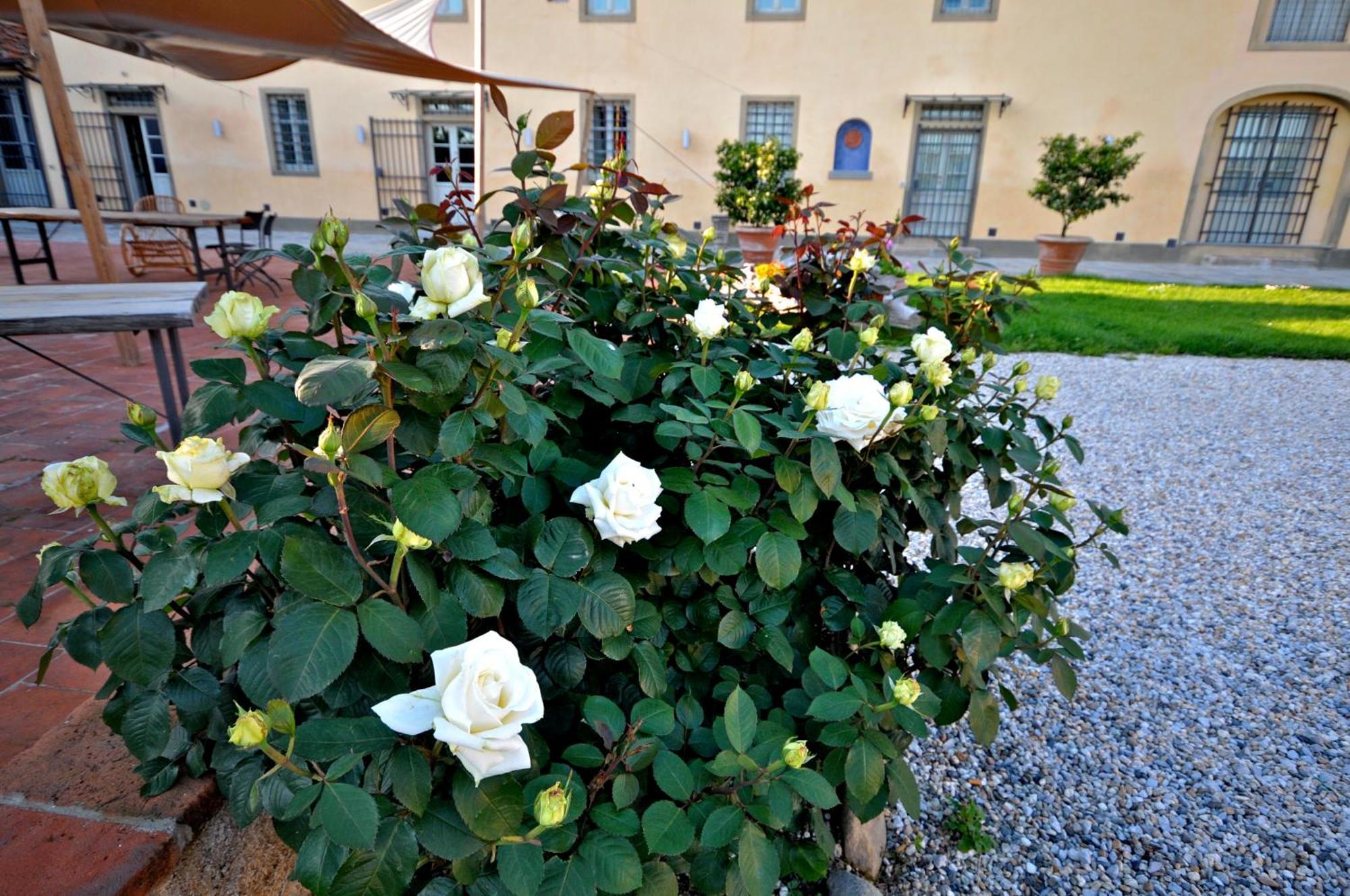 Agriturismo San Rocco Pistoia Exteriör bild